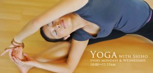 yoga2013-slide