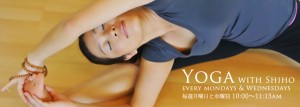 yoga2013-slide_jp